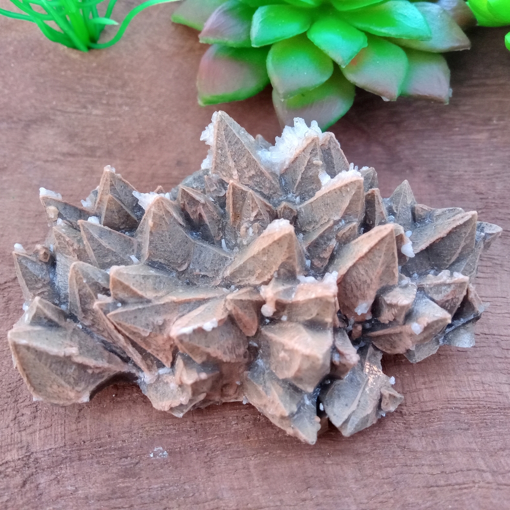 Chocolate Dog Tooth Calcite Crystal Cluster